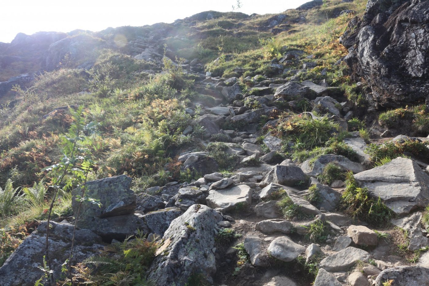 Litlefjellet_04_Path_6.thumb.JPG.a922f9f64764008ff118b5a6427fa35c.JPG
