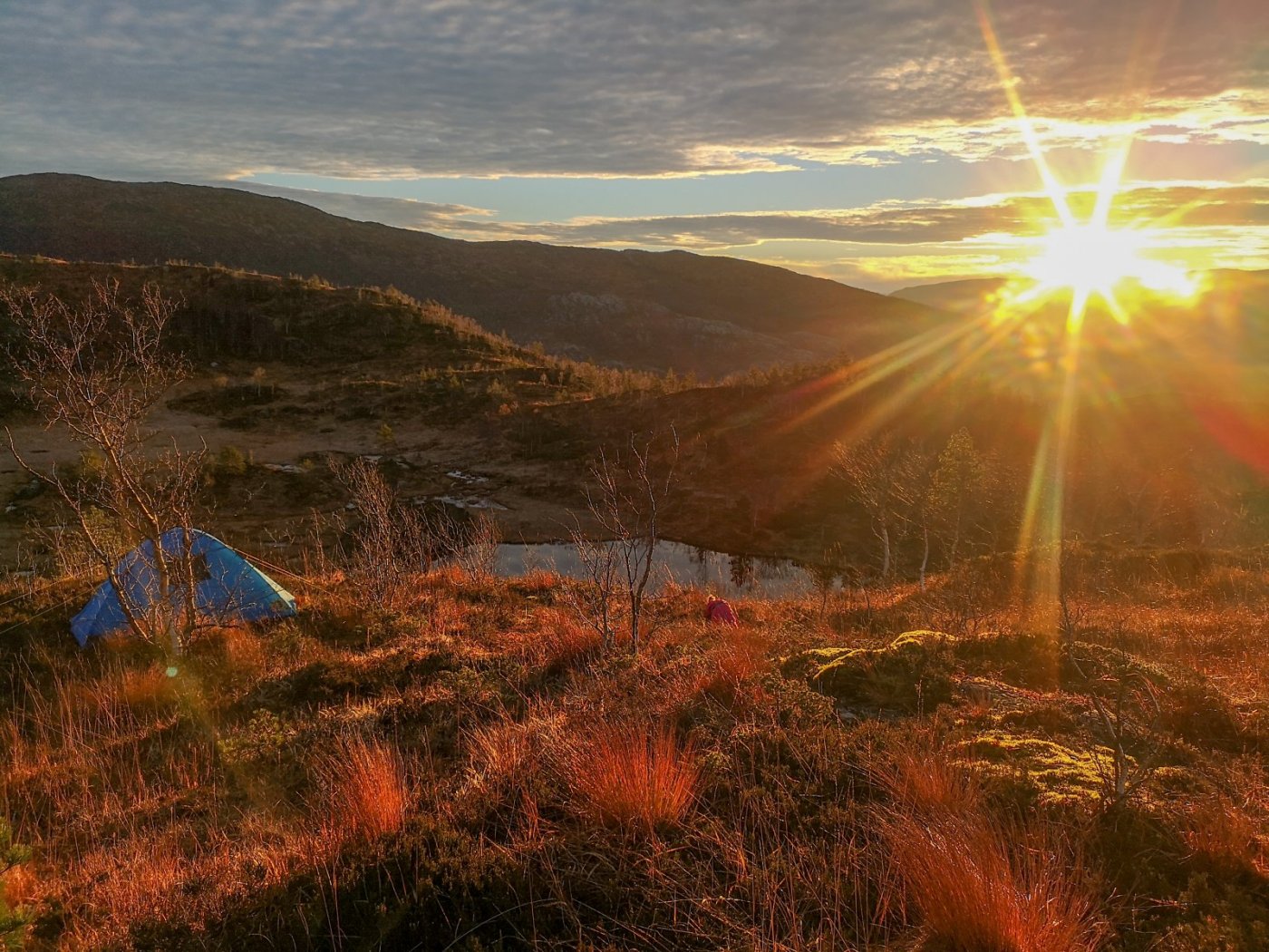 Gullfjellet dag.jpeg