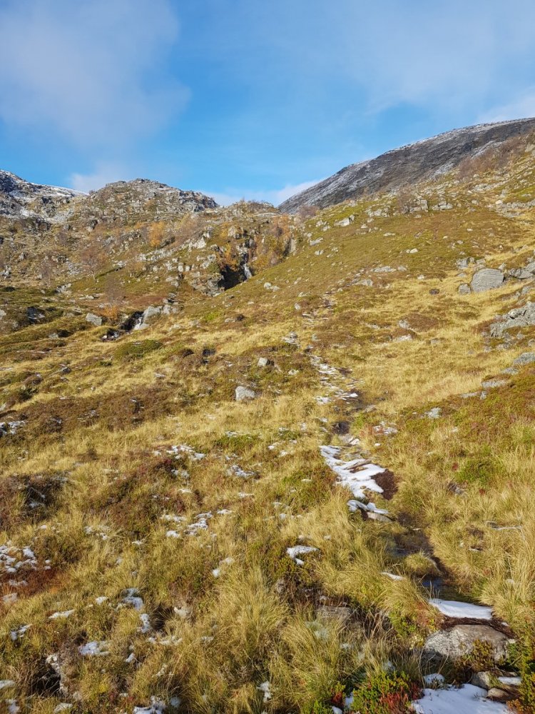 2018-09-30 10.23.26.jpg