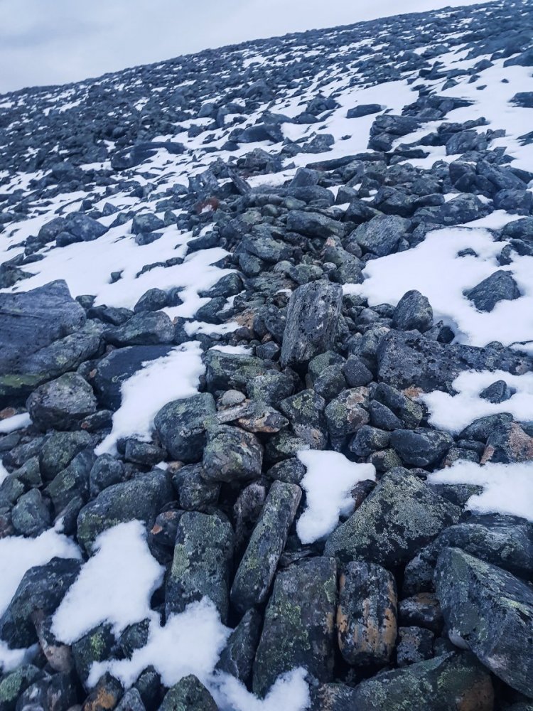 Screen - 2018-10-12 17.16.29.jpg