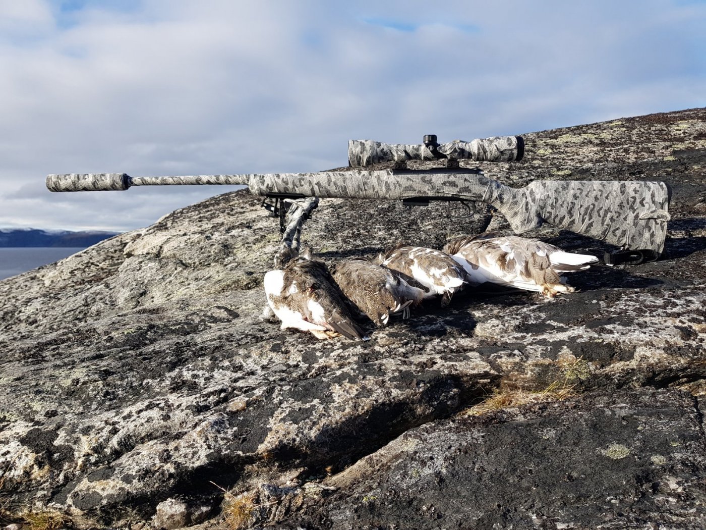 2018-09-30 13.16.27.jpg