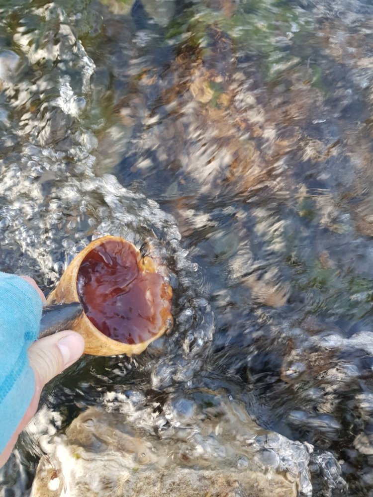 2018-09-30 10.51.25.jpg