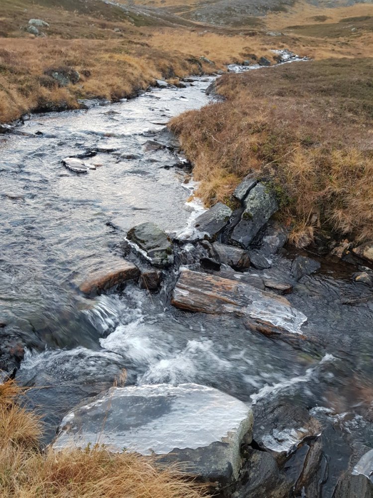 2018-11-10 10.29.21.jpg