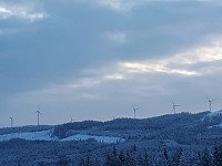 Grådighet er ikke vakkert.jpg