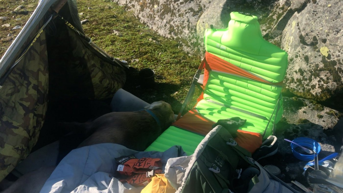 Einstein gapahuk 01.jpg