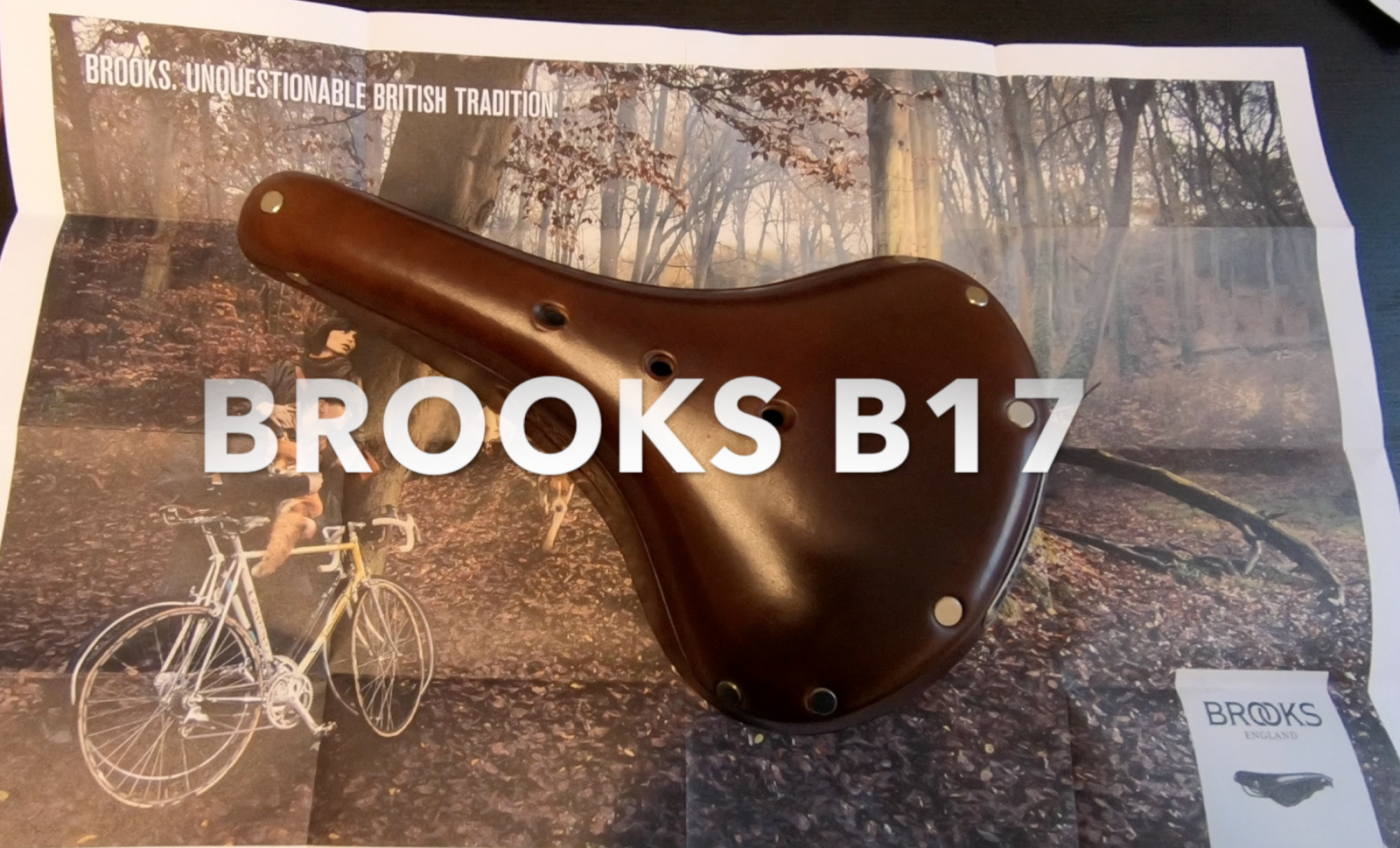 393772762_BrooksB17.thumb.png.635e04e91c4c772ec9403f28b5388c8e.png