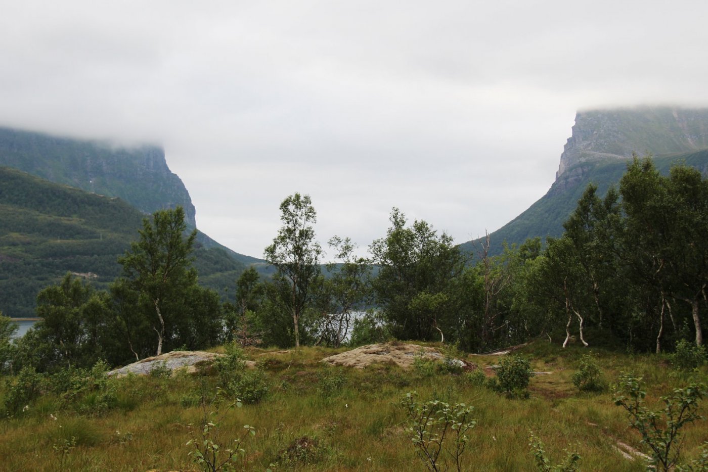 Fjell thaihuset copy.jpg