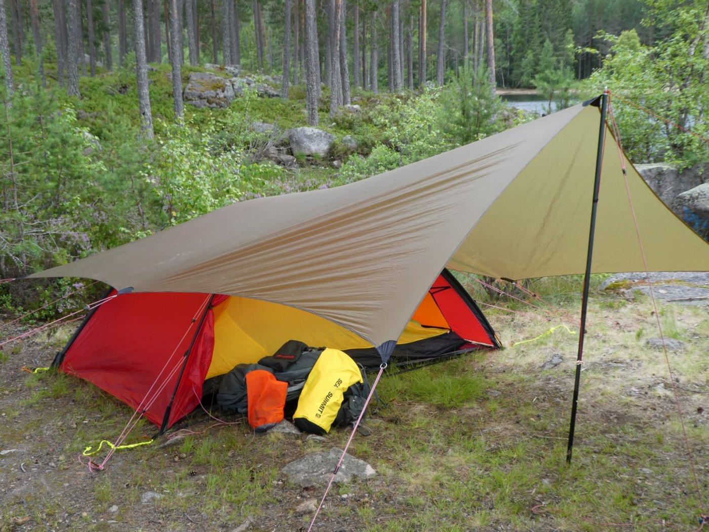 2017-07-29 12.48.31.jpg