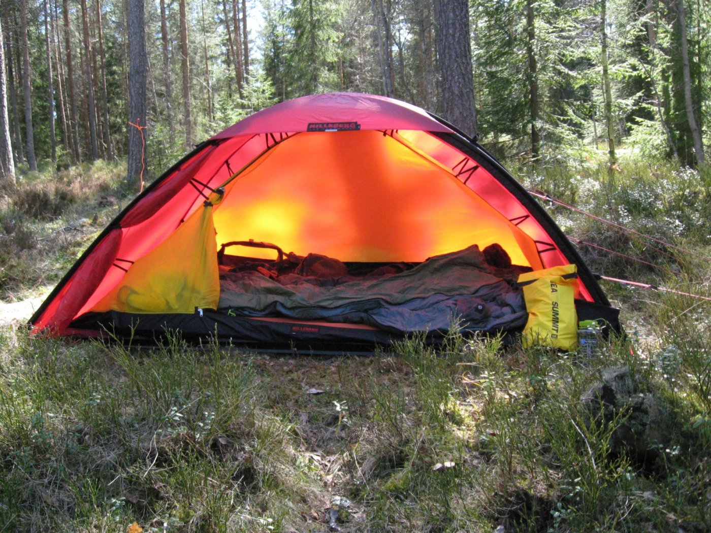 2017-05-05 16.04.01.jpg