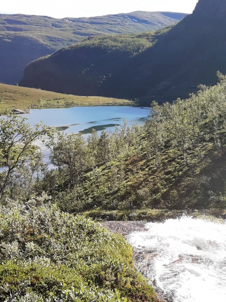 Øvrevatnet Elvevoll.jpg