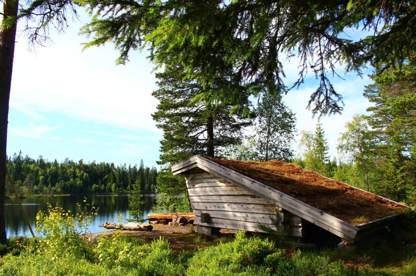 Helletjernhuken 2 copy.jpg