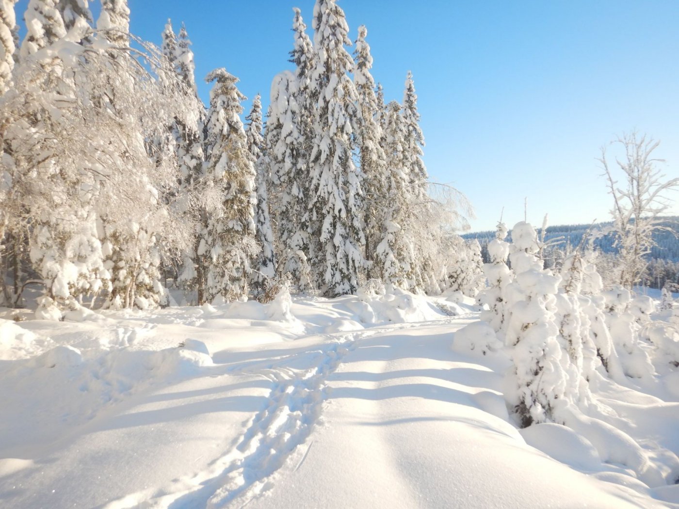 20210110, Nordmarkstur med truger til Branntjernhøgda (58).jpg