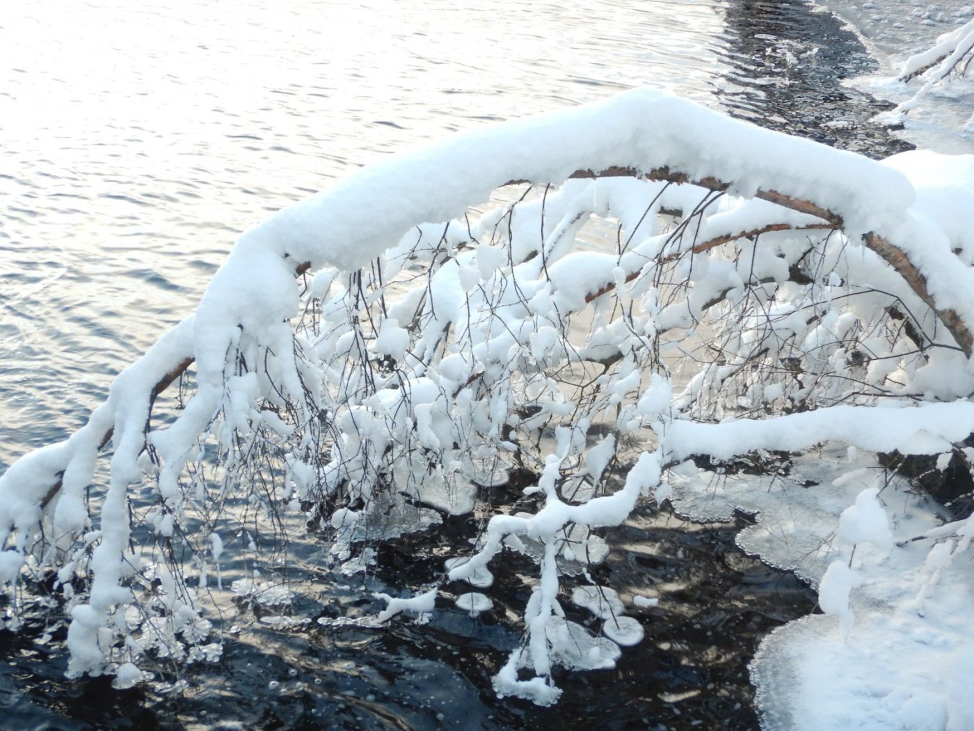 20210110, Nordmarkstur med truger til Branntjernhøgda (75).jpg