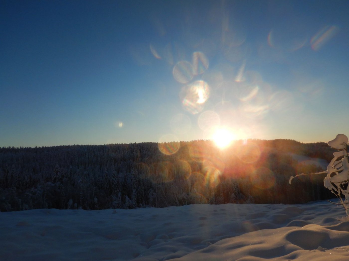 20210110, Nordmarkstur med truger til Branntjernhøgda (53).jpg