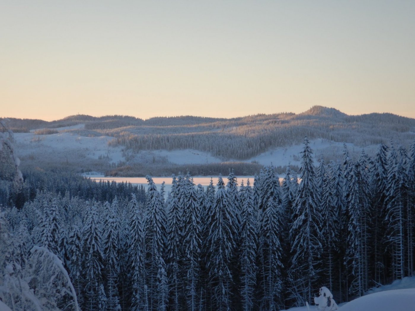 20210110, Nordmarkstur med truger til Branntjernhøgda (51).jpg