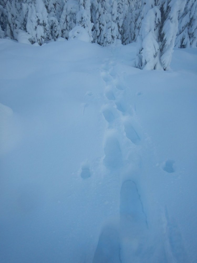 20210110, Nordmarkstur med truger til Branntjernhøgda (29).jpg