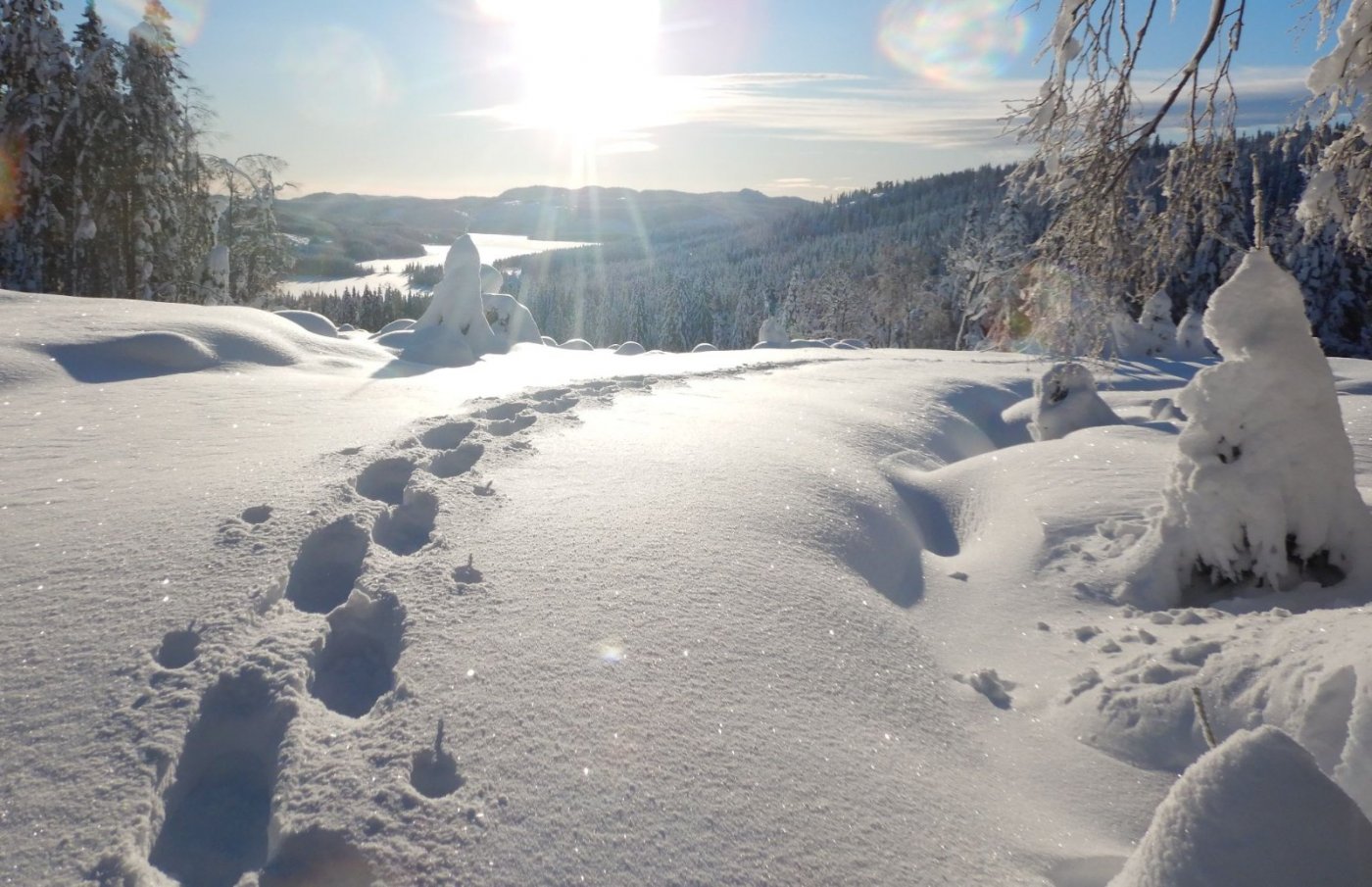 20210110, Nordmarkstur med truger til Branntjernhøgda (65).jpg