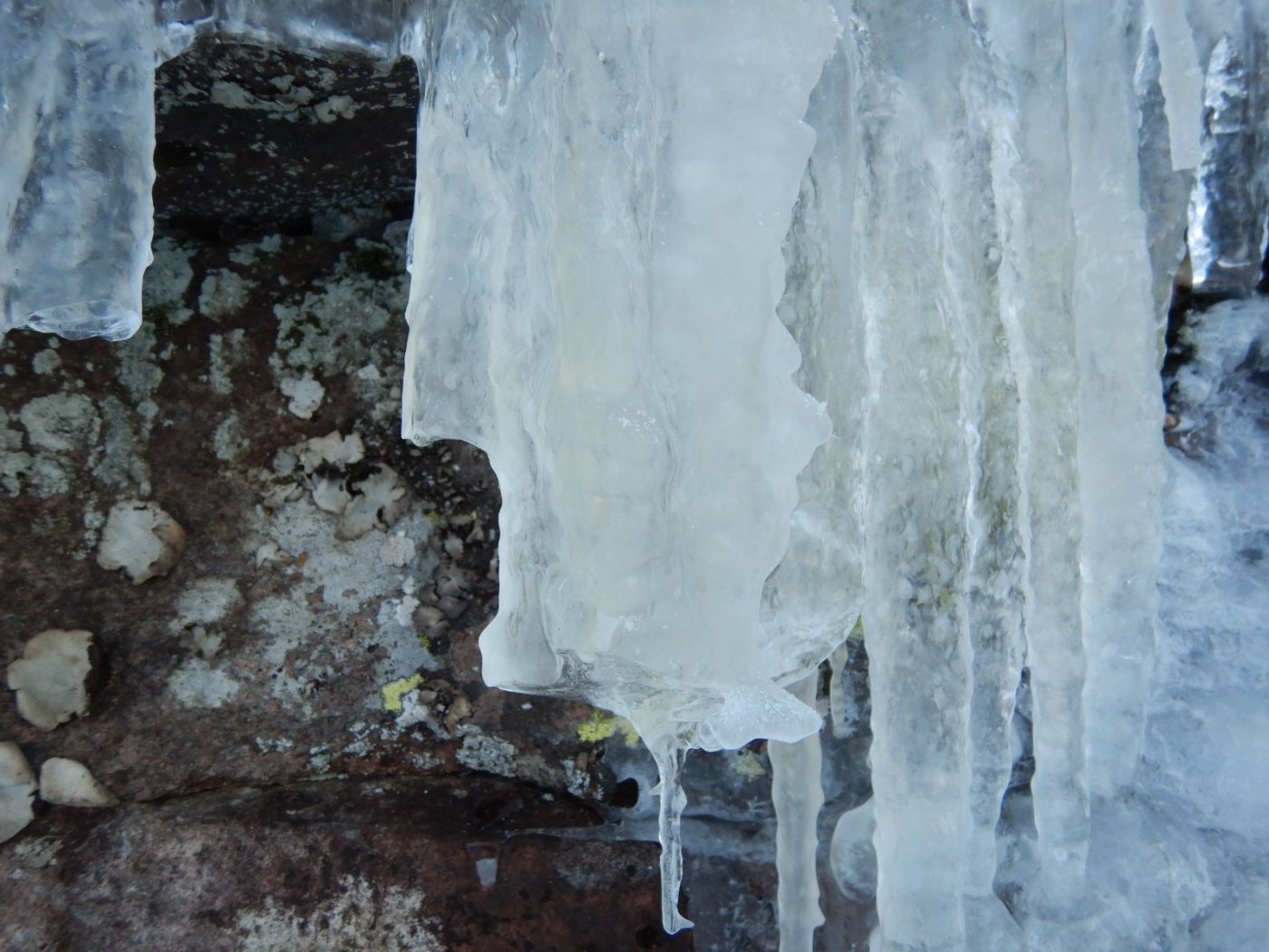 20210131, Lillotur med Magnus (27).jpg