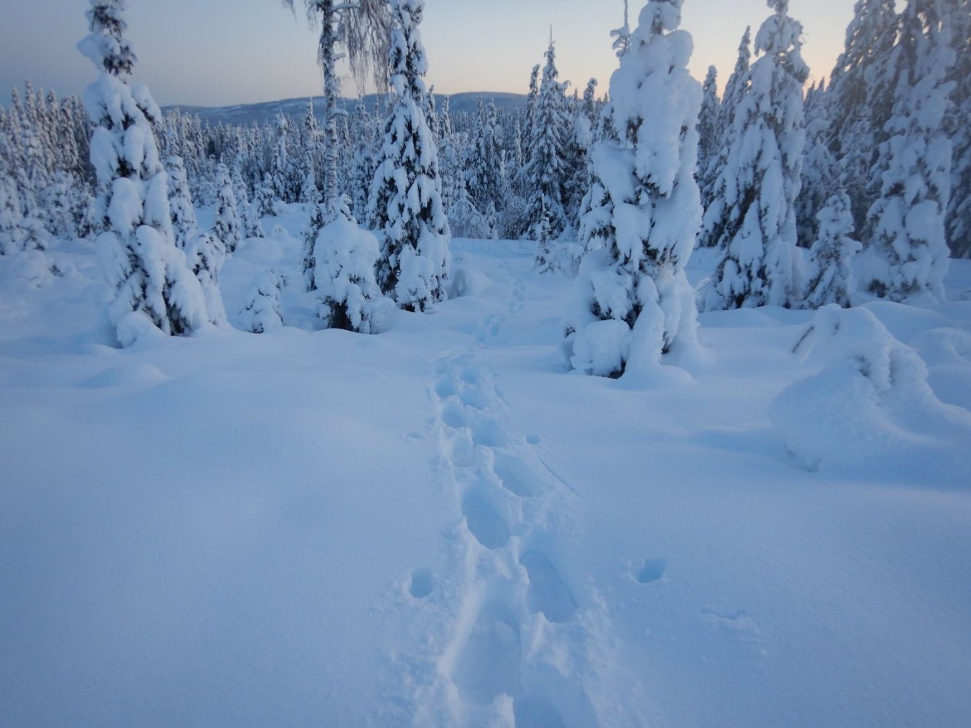 20210110, Nordmarkstur med truger til Branntjernhøgda (19).jpg