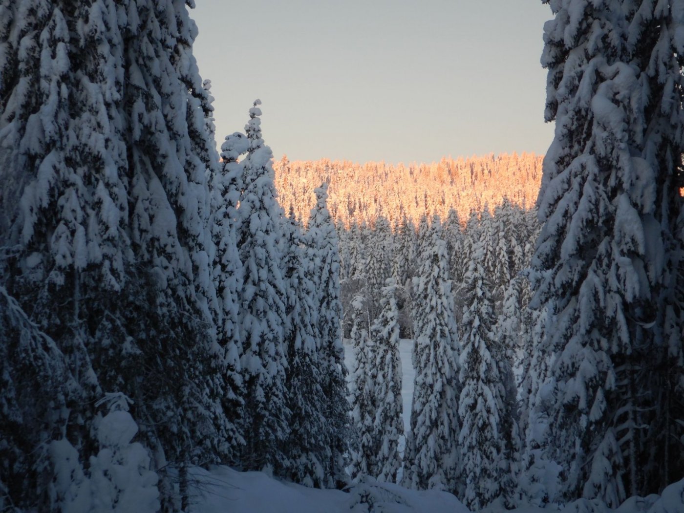 20210110, Nordmarkstur med truger til Branntjernhøgda (31).jpg