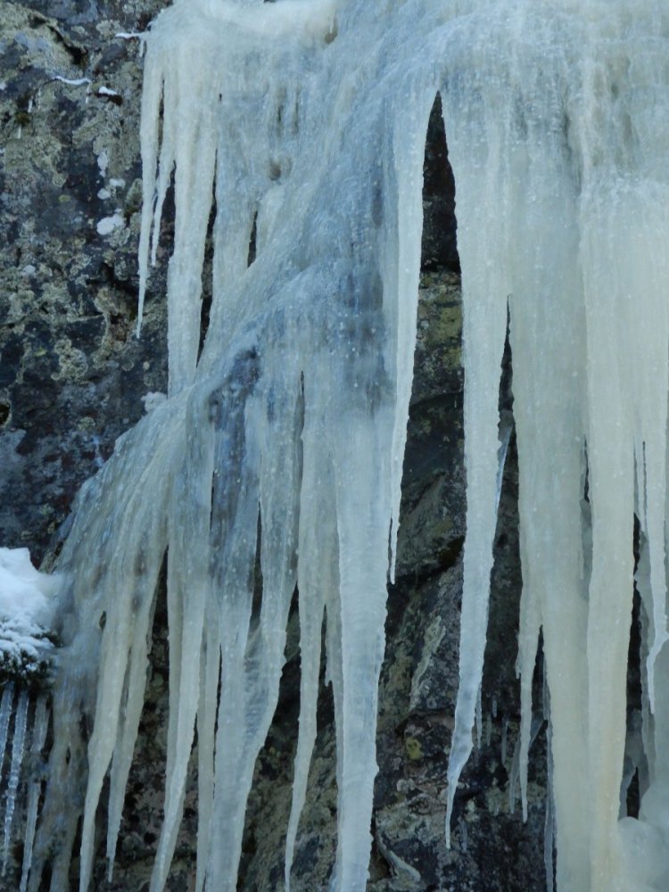 20210131, Lillotur med Magnus (6).jpg