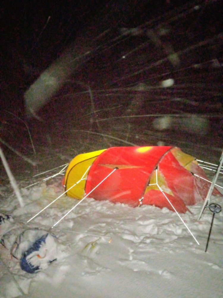 IMG_20210301_213645490_3 (1).jpg