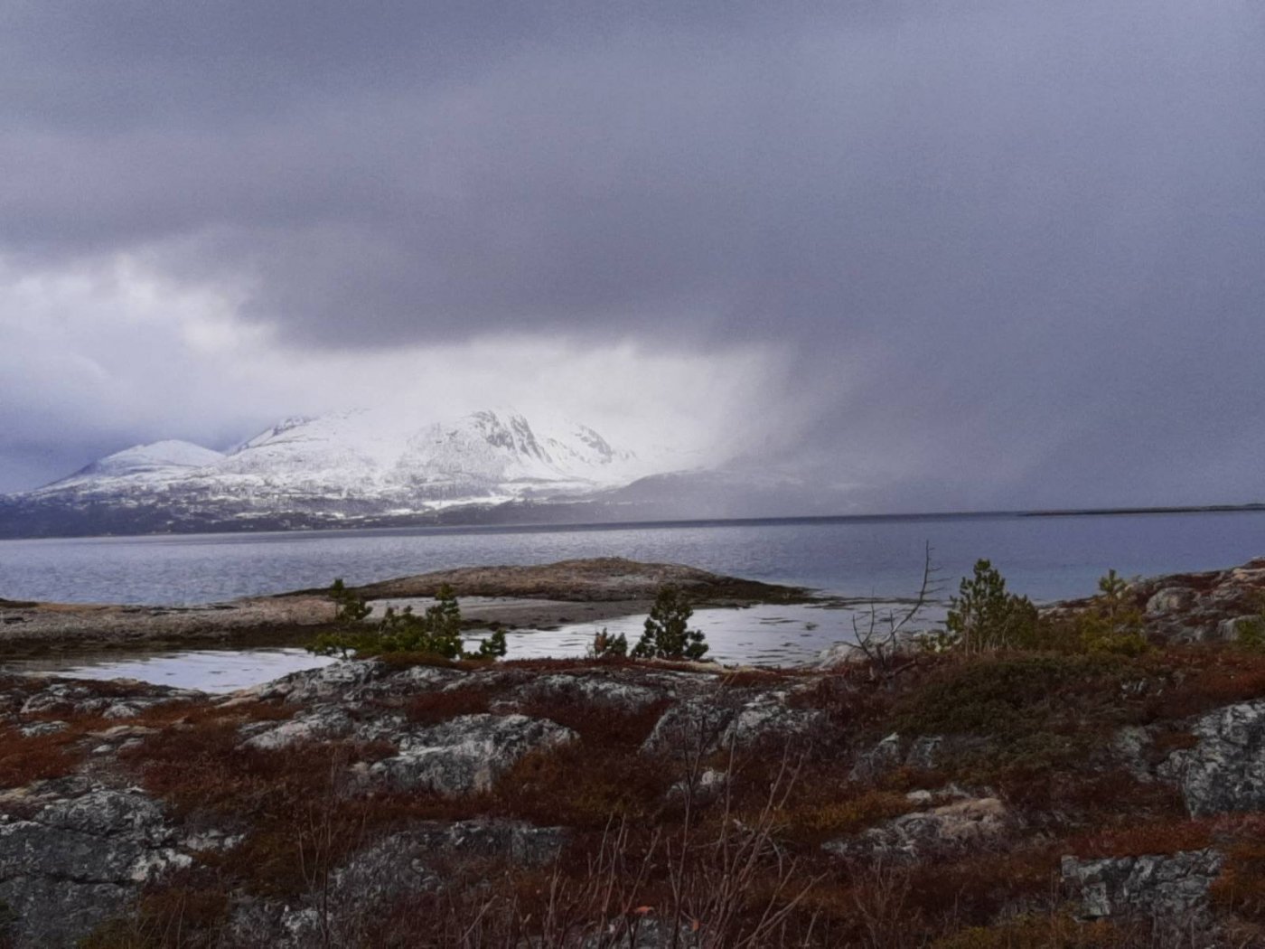 signal-2021-04-25-212121 (7).jpg