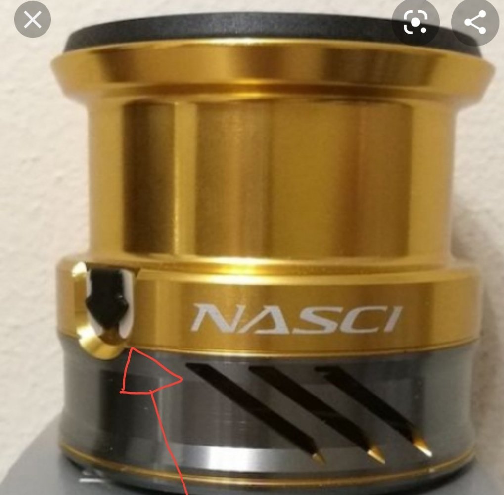 Screenshot_20210417-143736_Samsung Internet.jpg