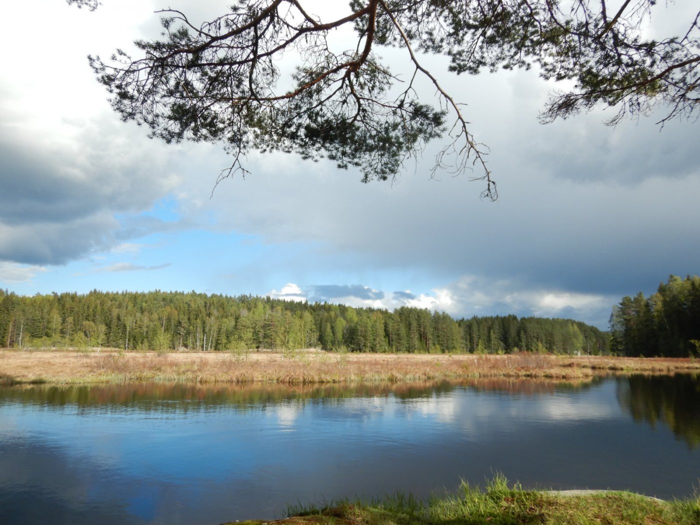 20210520, Nøklevann (13).JPG