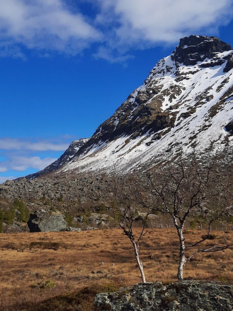 signal-2021-05-25-075435 (11).jpg