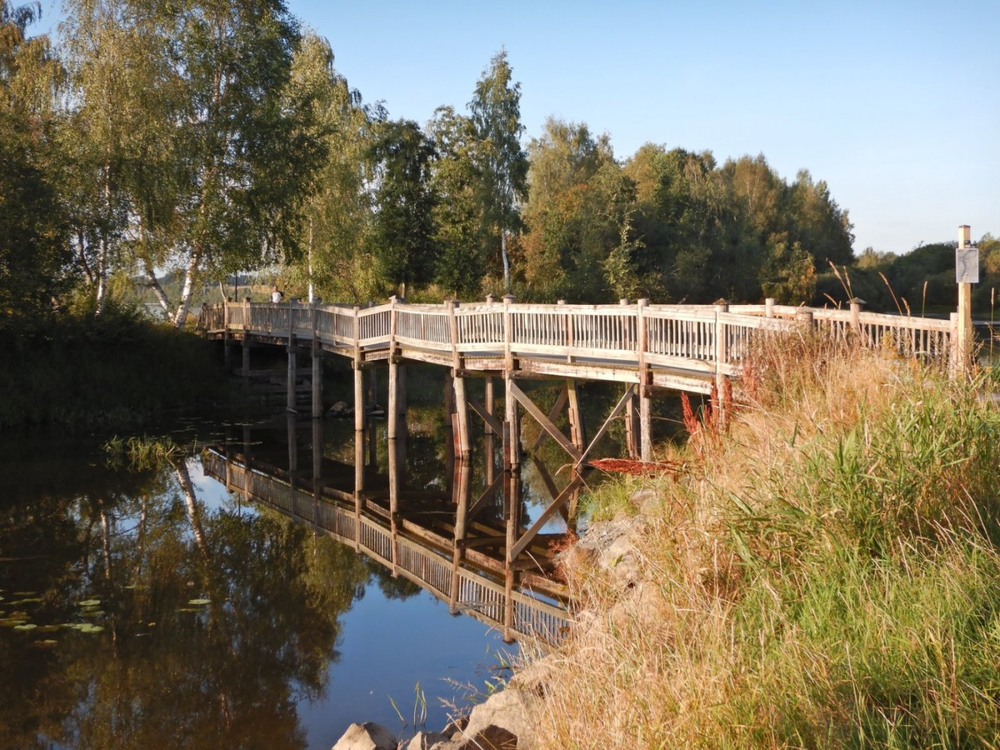 20210830, Ekspedisjon på Vorma (156).jpg