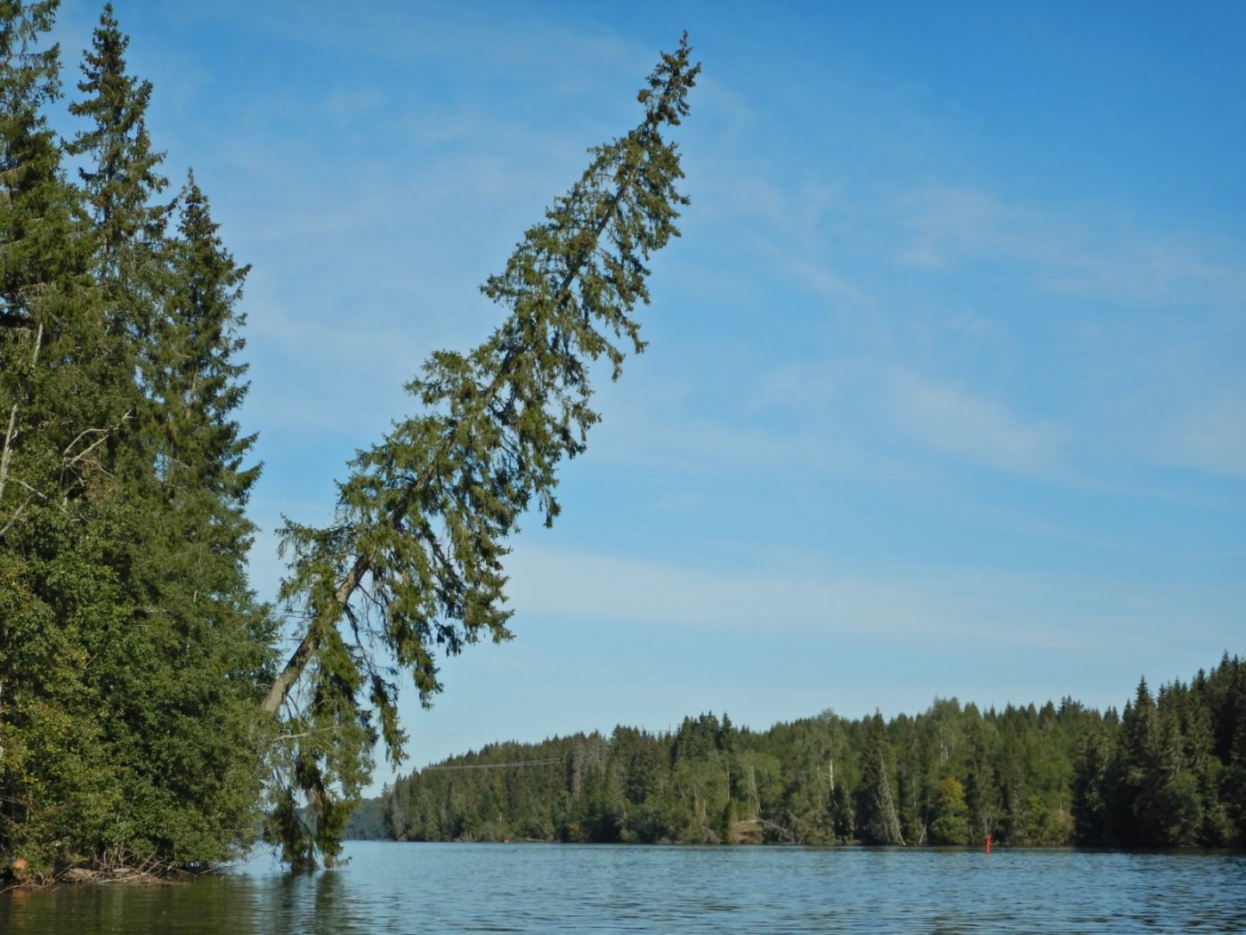 20210830, Ekspedisjon på Vorma (36).jpg