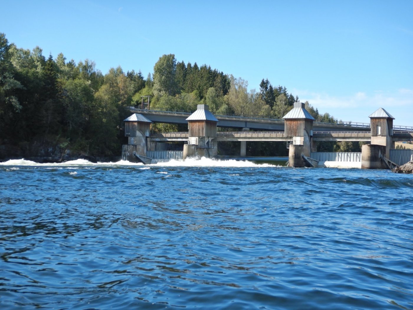 20210830, Ekspedisjon på Vorma (92).jpg