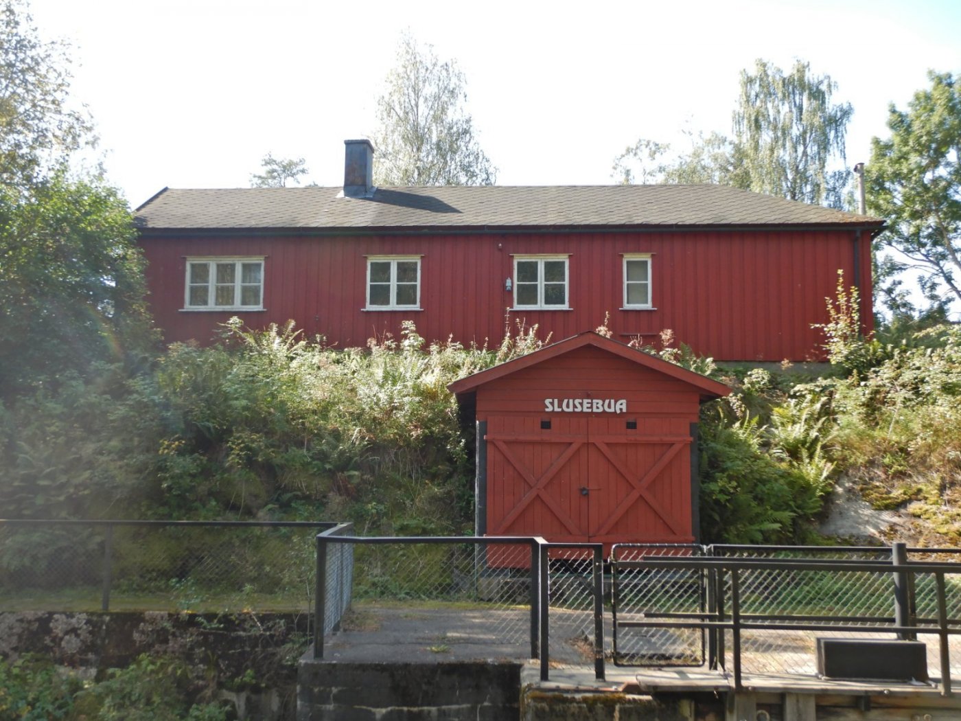 20210830, Ekspedisjon på Vorma (53).jpg