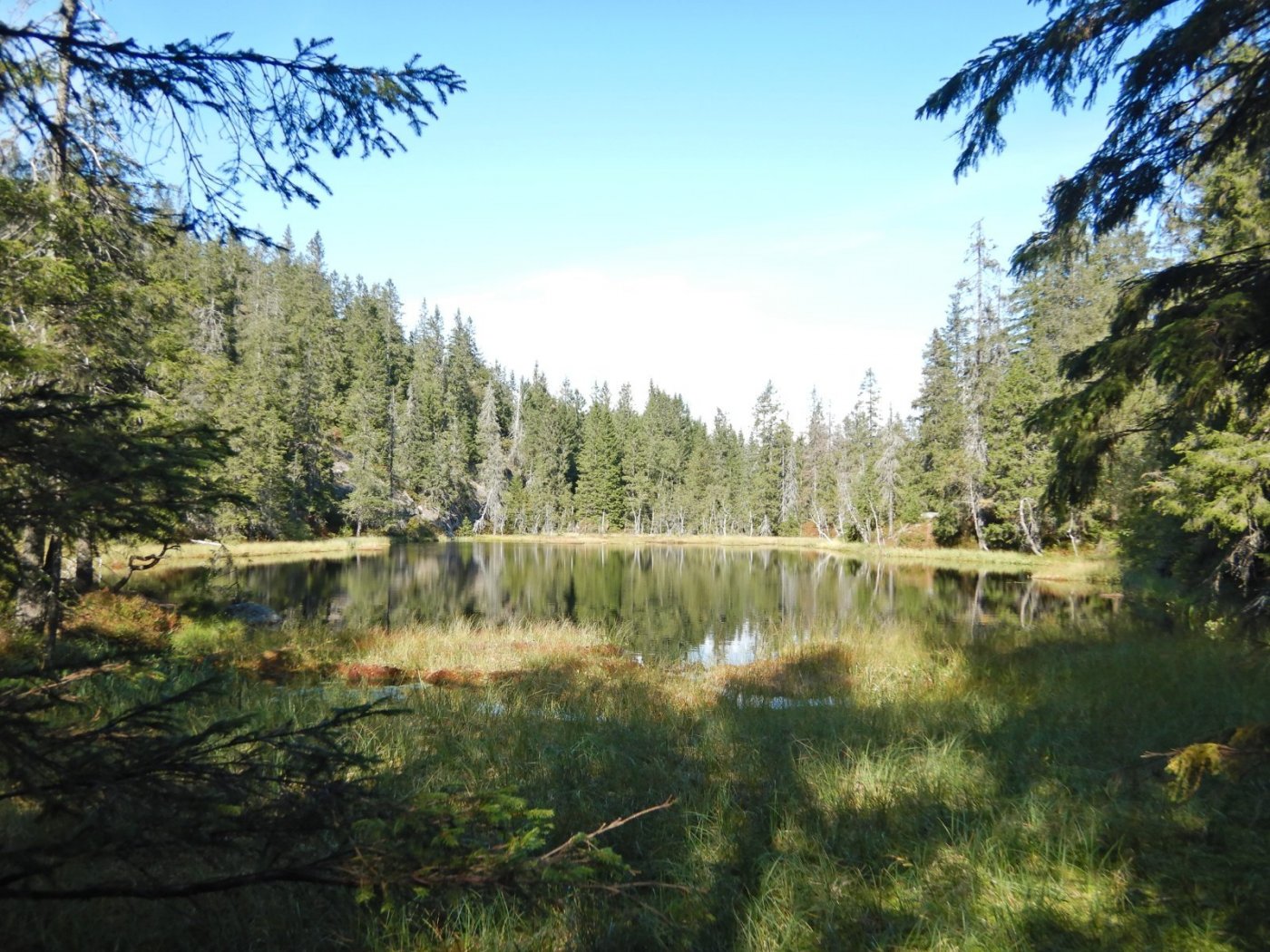 20210905, Tredamers-tur i Maridalsalpene (84).JPG