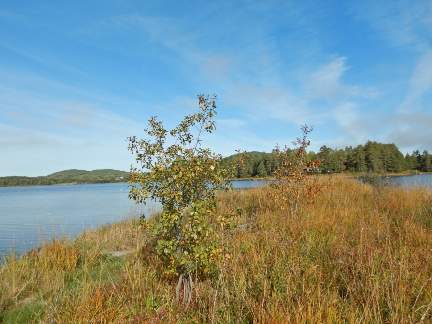 20220921, Padletur fra Sand til Skarnes (22).JPG