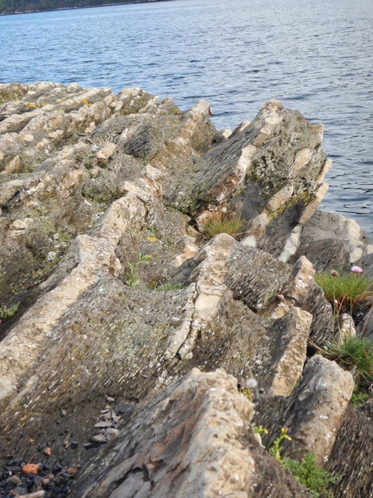 20220924, Nesoddtangen-Drøbak (16).JPG