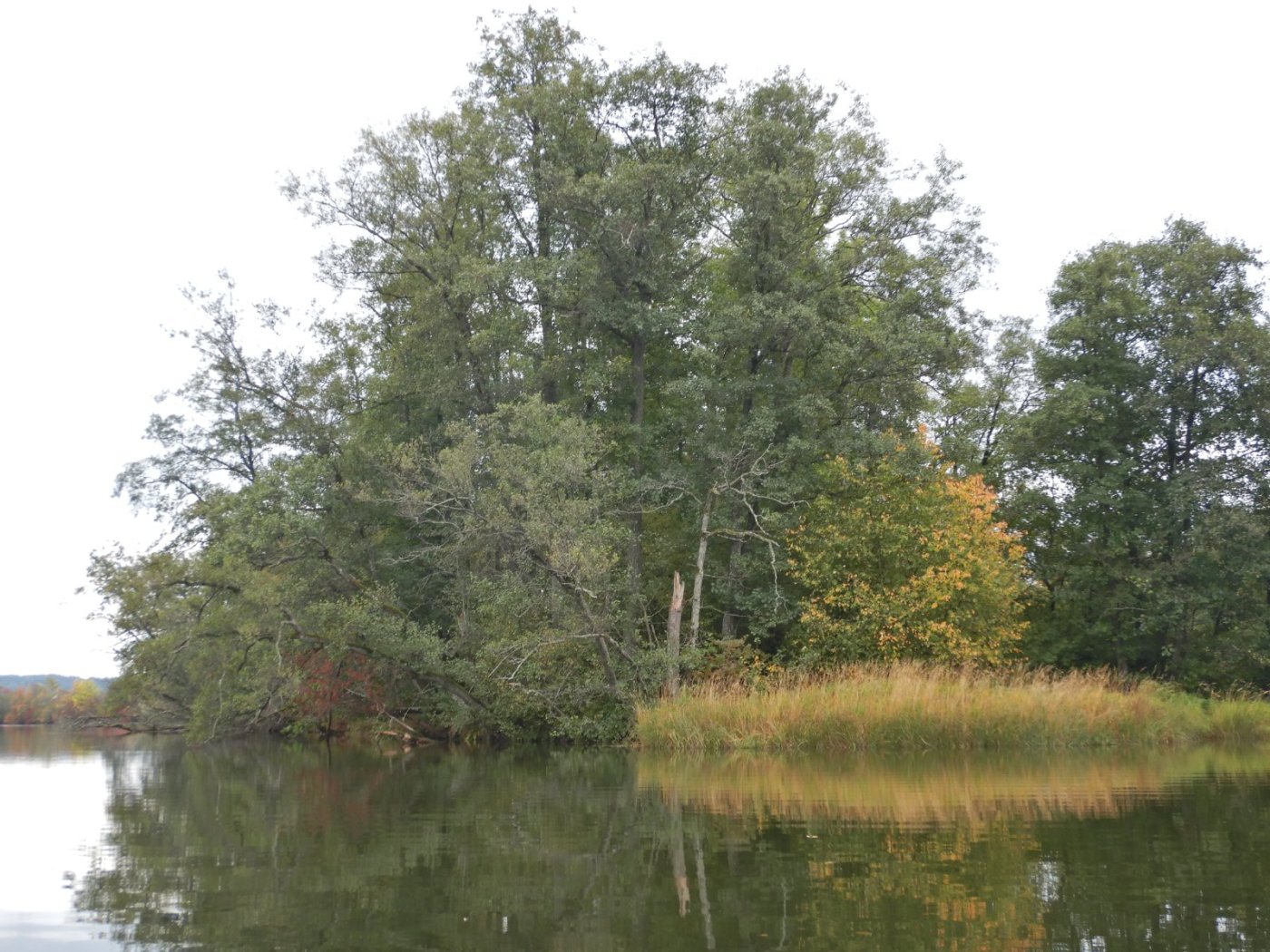 20221002, Nylede-Fredrikstad (20).JPG