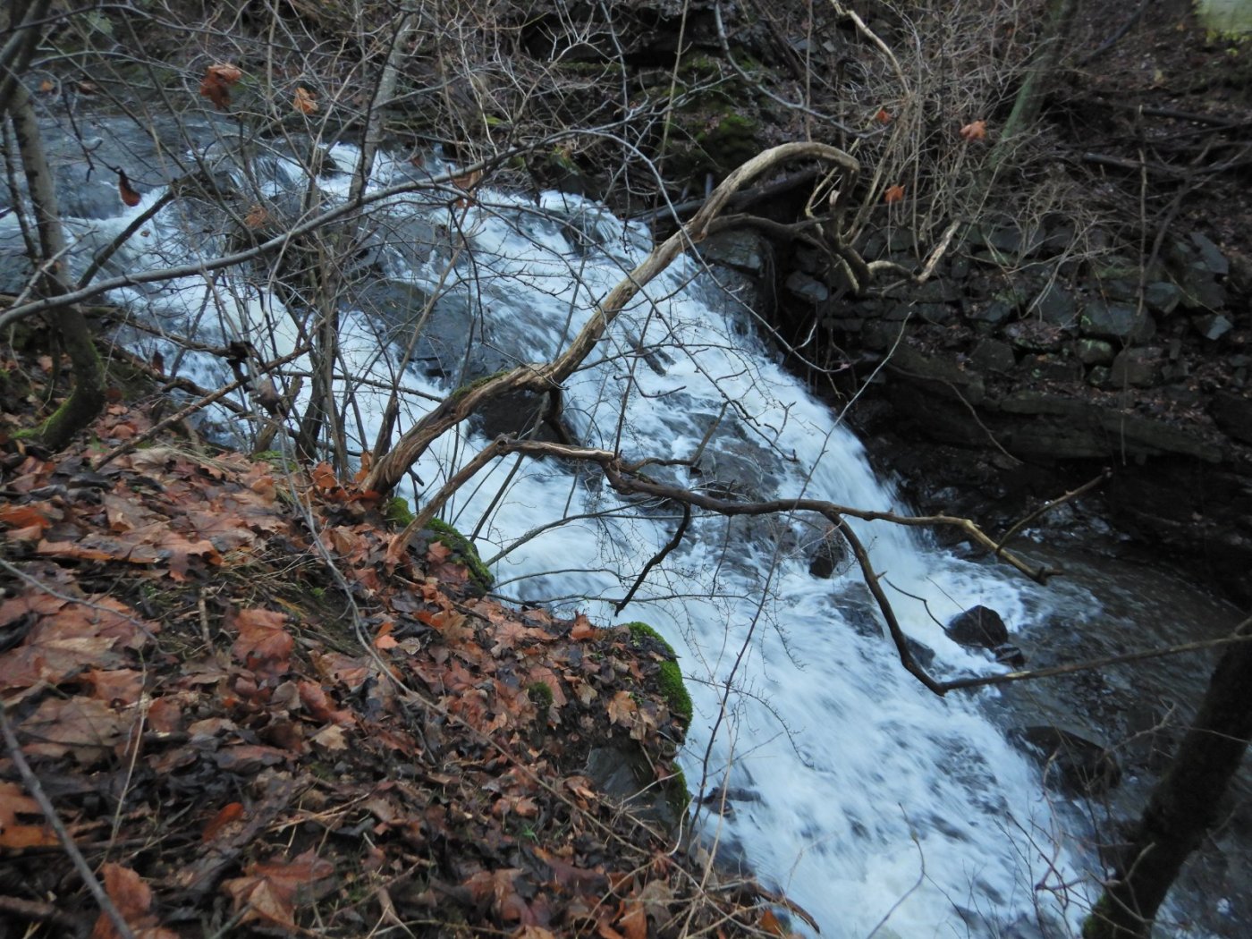 20221127, Firemils gjennom Oslo og Bærum (18).JPG