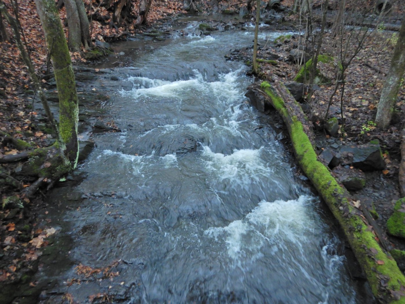 20221127, Firemils gjennom Oslo og Bærum (8).JPG