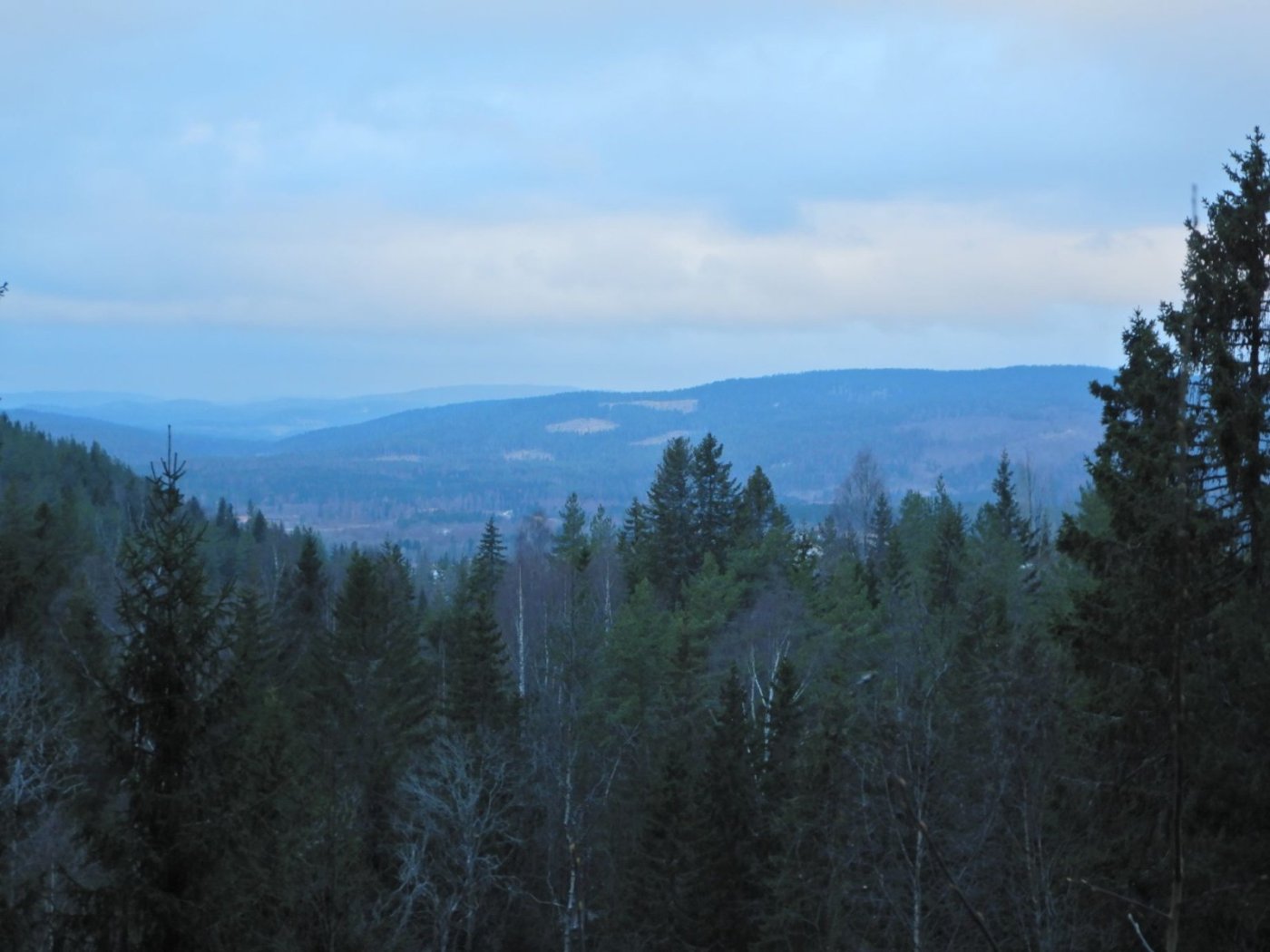 20221121, Lillo-tur. Grytedalen-Barlindåsen (7).jpg