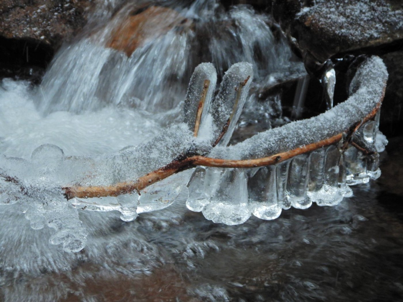 20221121, Lillo-tur. Grytedalen-Barlindåsen (24).jpg