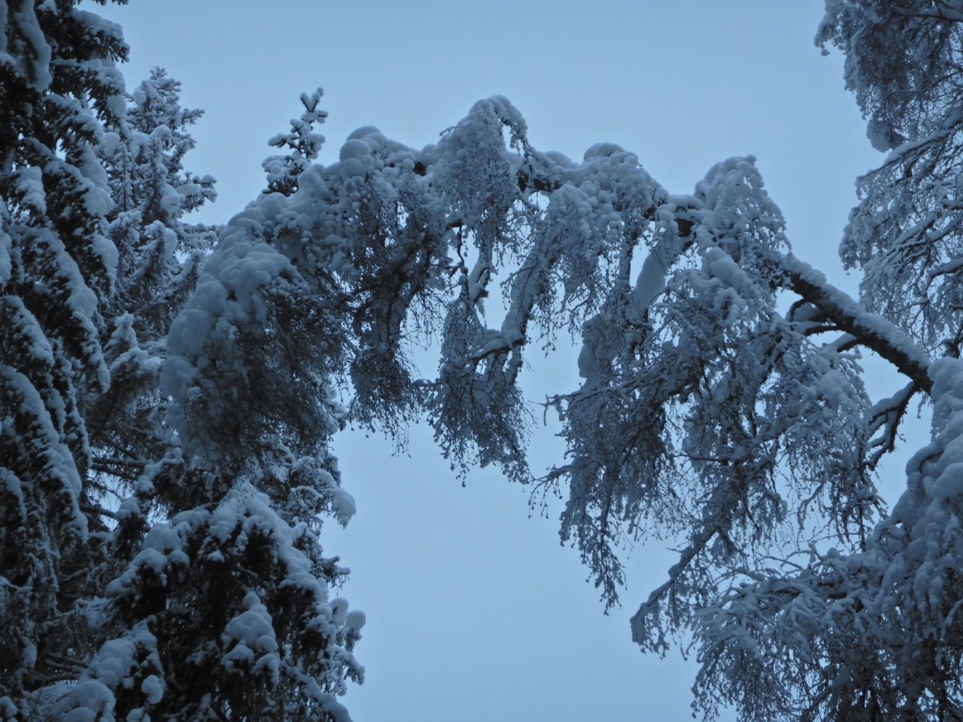 20230123, Trugerunde fra Skansebakken (71).JPG