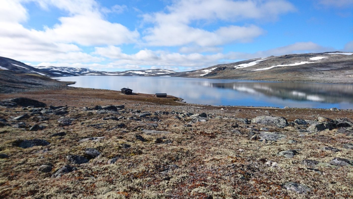 Storvatnet, mot sørvest.JPG