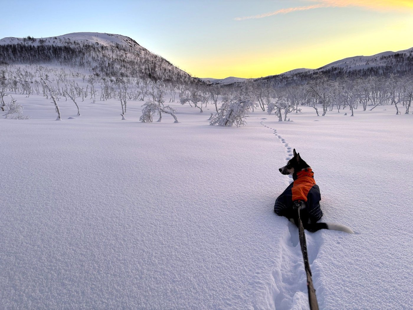 luna vinterbilde 2.jpg